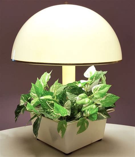 touch lamp planter
